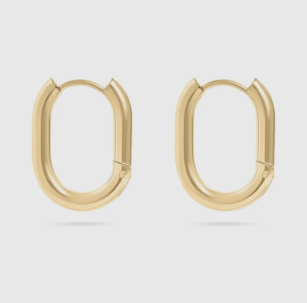Pretty Please Oval Hoops